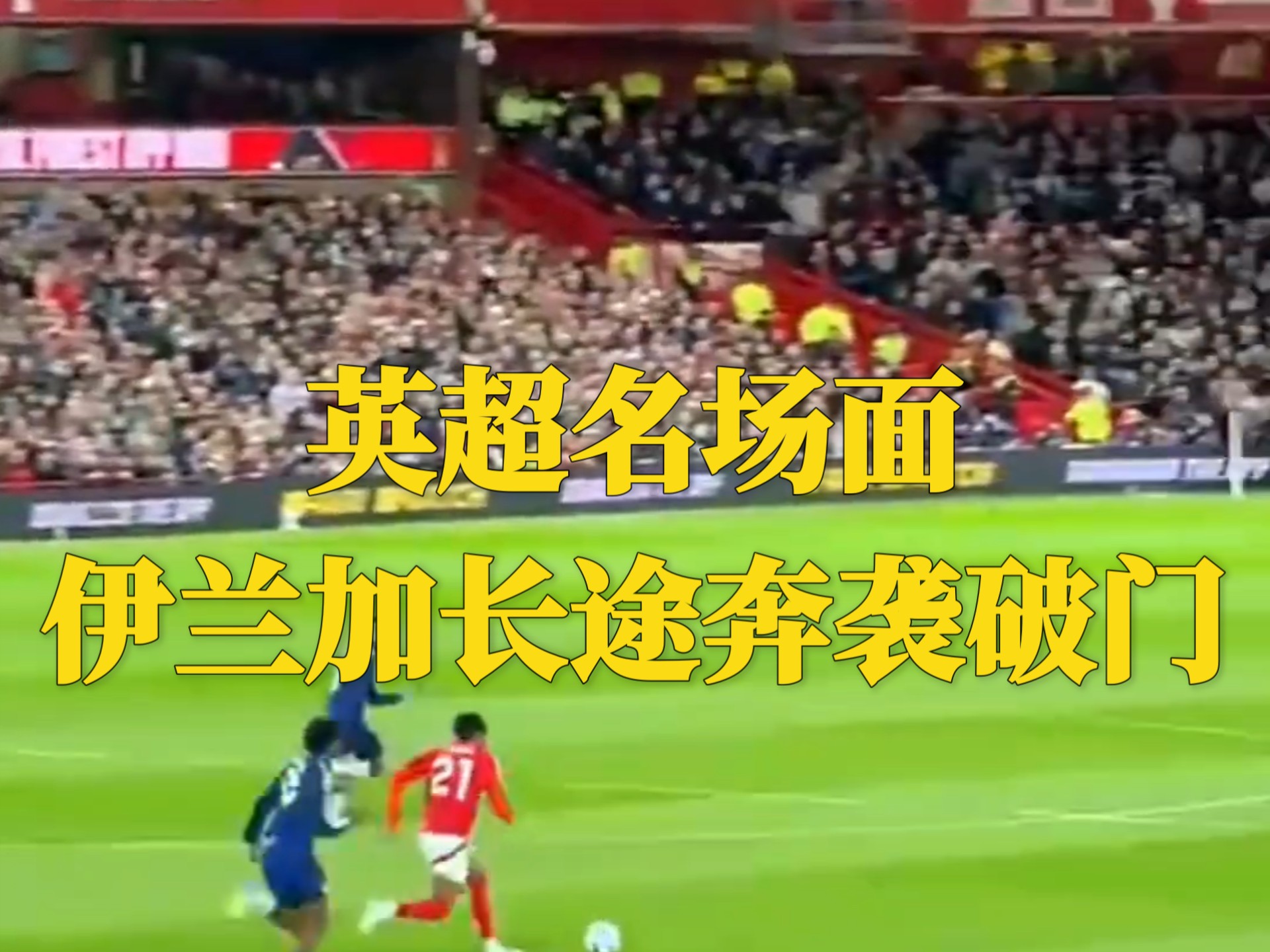 达拉斯独行侠队