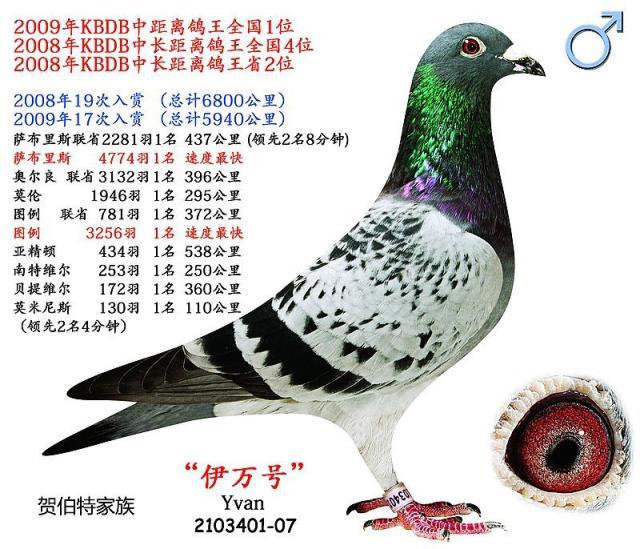 关于法甲赛程吃紧，萨克拉门托国王清晨完成体检，信心回归，医务组通报恢复的信息